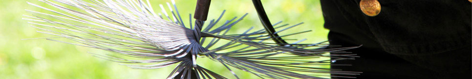 Banner - Fabian Lüdecke